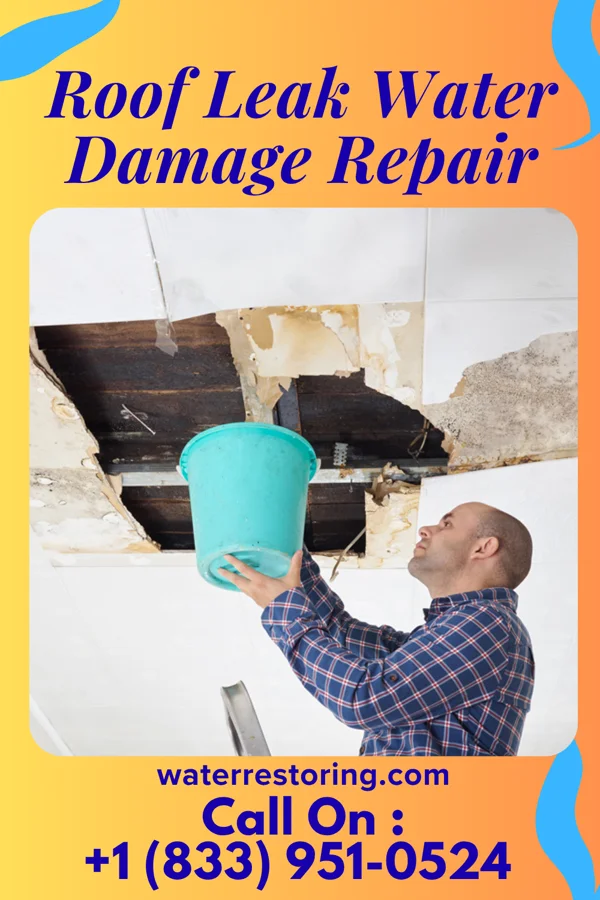 Roof Leak Water Damage Repair in Ravenwood, MO