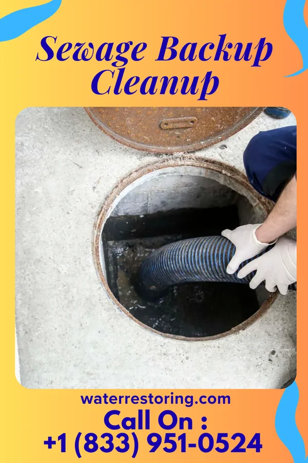 Sewage Backup Cleanup in Ravenwood, MO